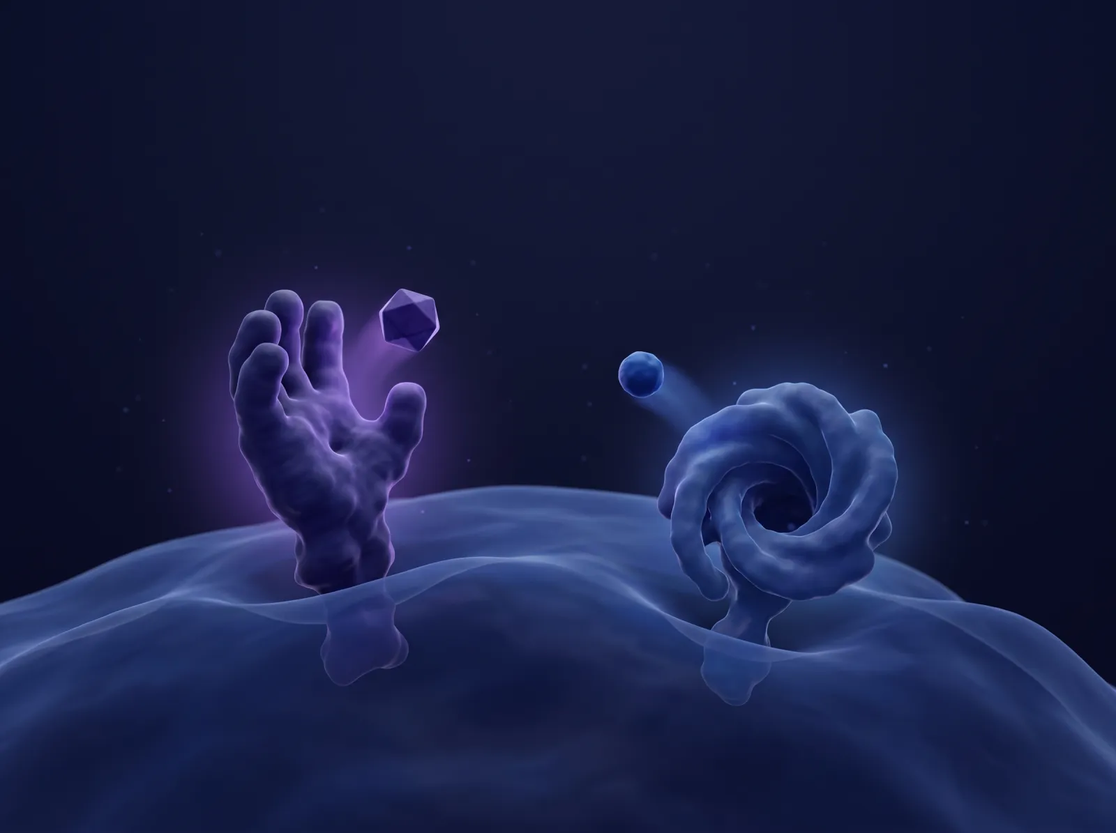 Illustrative 3D render of two different receptor proteins on a cell membrane with molecules approaching