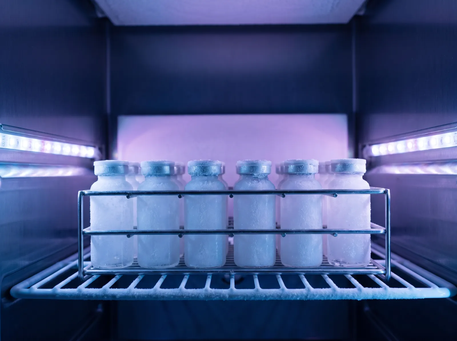 How to Store Peptides: Lyophilized vs Reconstituted