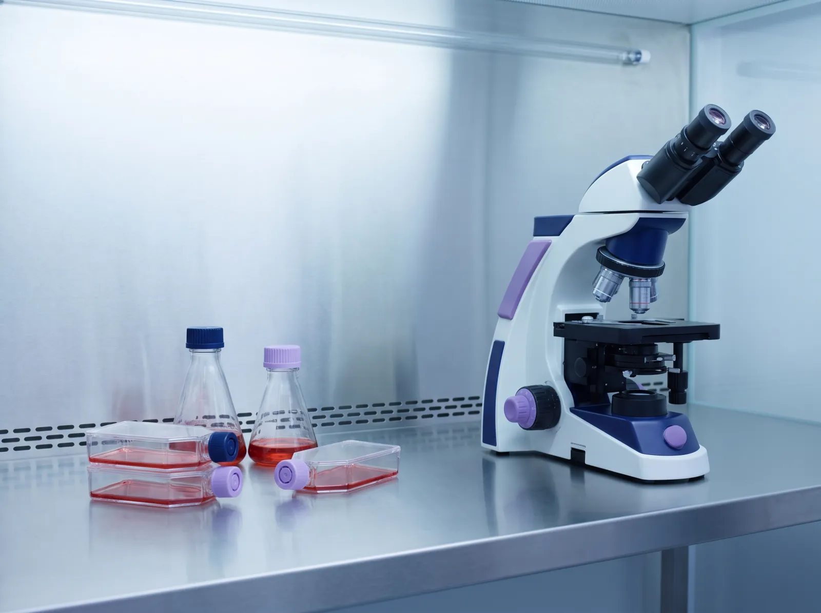 Laboratory cell culture flasks and a microscope on a clean bench under soft cool light